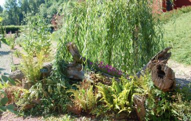 Le jardin botanique Vinh LUU
