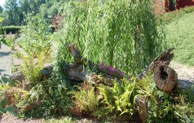Le jardin botanique Vinh LUU