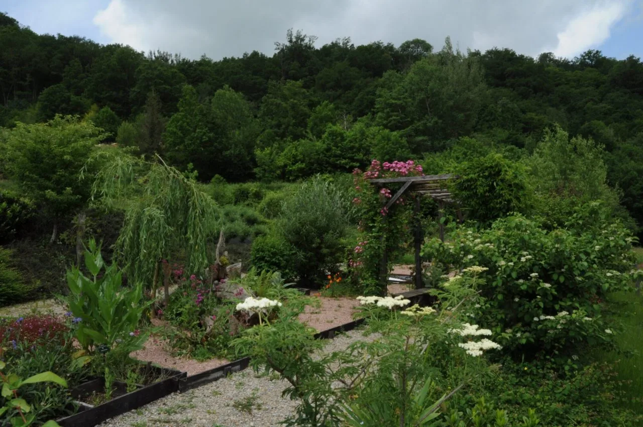 Le jardin botanique Vinh LUU