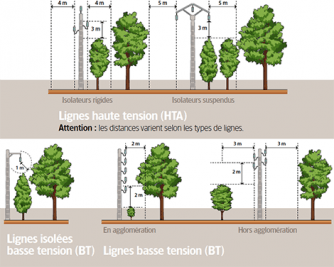 Distances de sécurité élagage