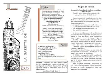 thumbnail of La Gazette N°2