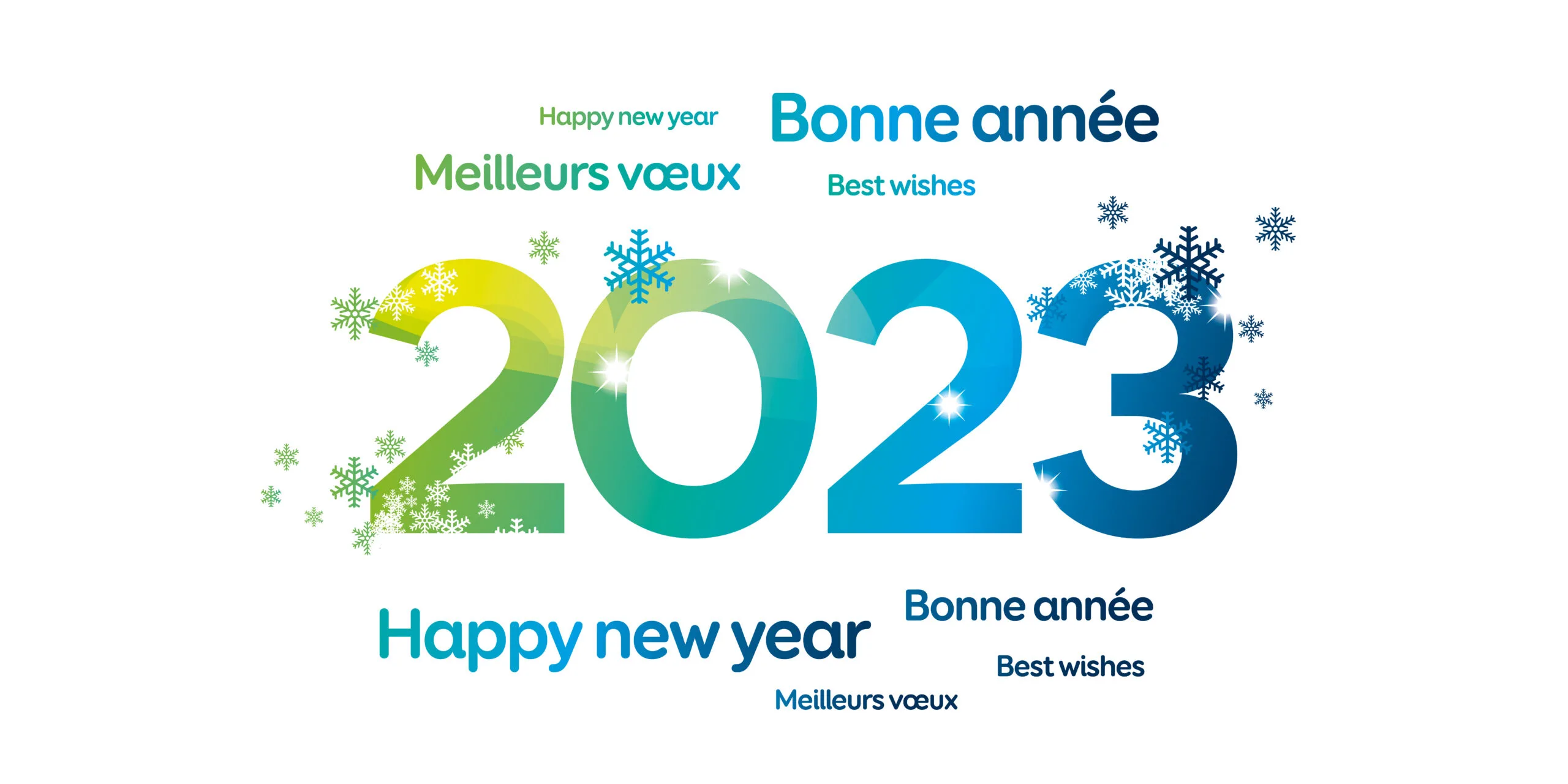 2023_BonneAnnee-Bleuvert