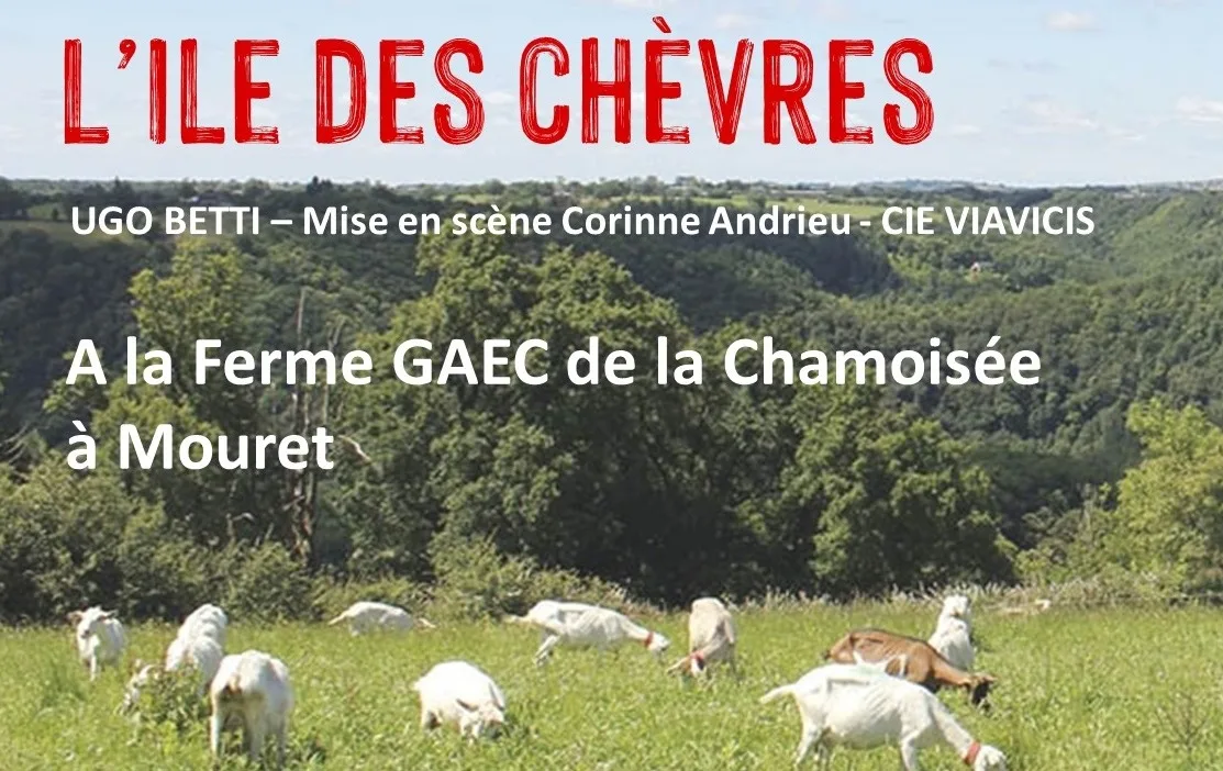 affiche_1003920mini